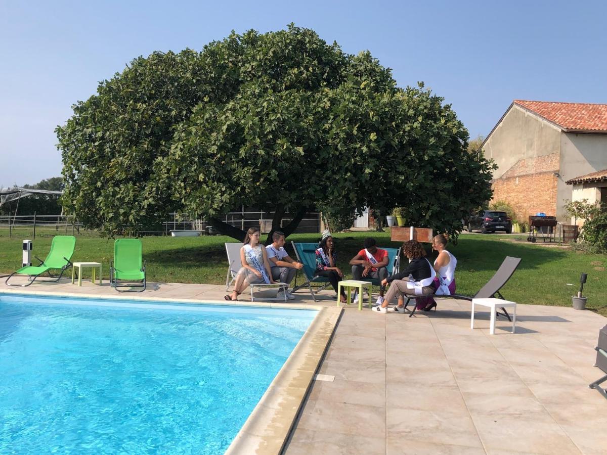 Domaine De L'Ile - Gites Et Chambres D'Hotes Castelsarrasin Eksteriør billede